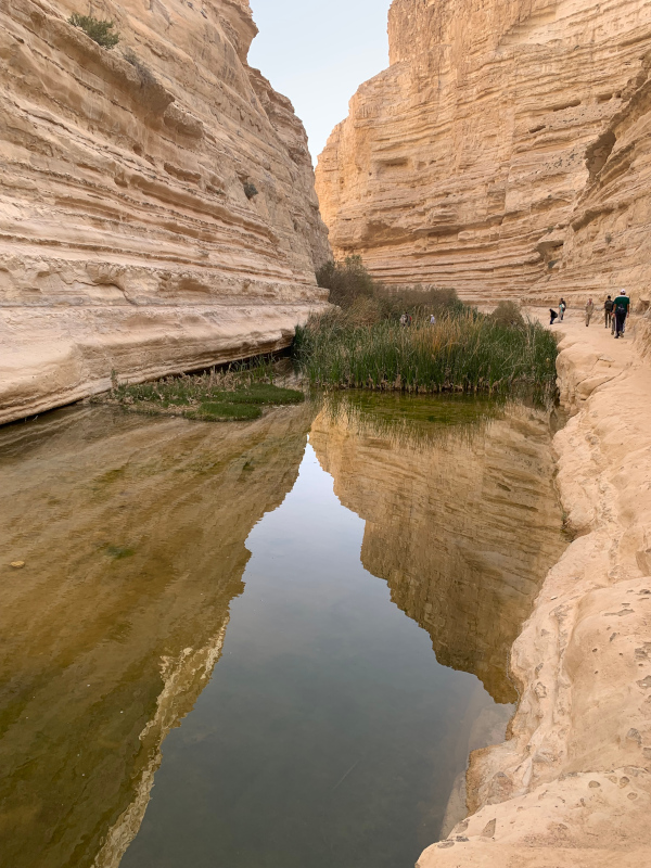 Escursione nel Negev 2022 - Wadi Tsin 
