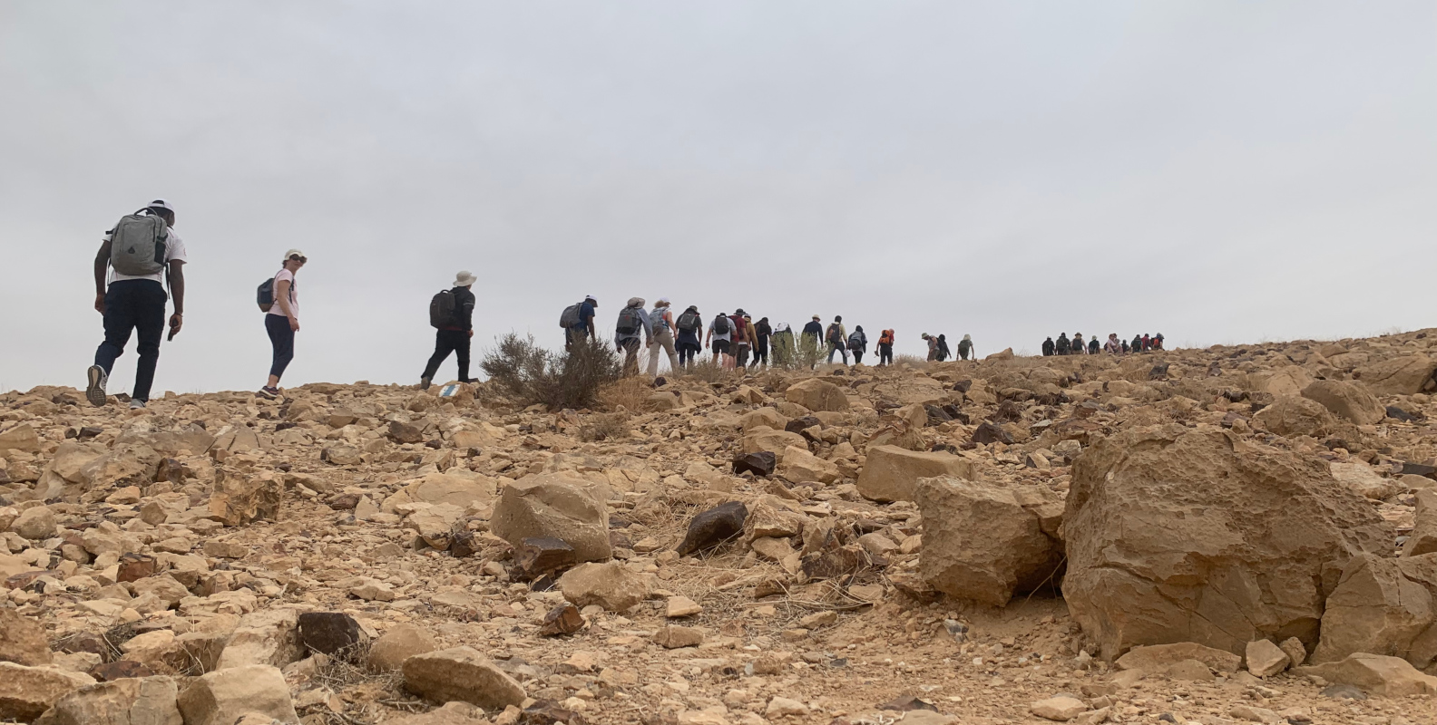 Escursione nel Negev 2022 - Har Karkom