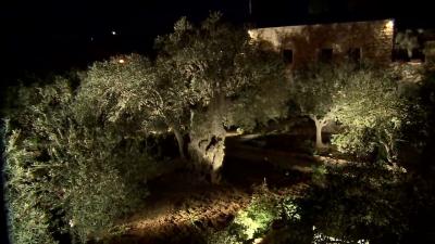 Getsemani. Nell'Orto dell'agonia