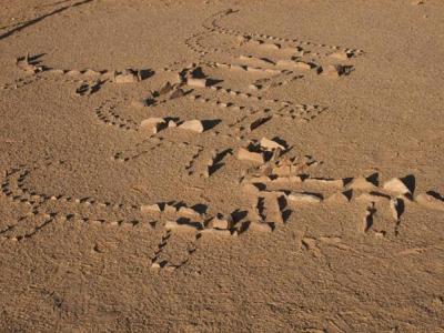 Tempio dei Leopardi. Figure