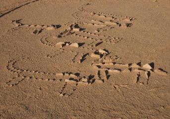 Tempio dei Leopardi - Figure