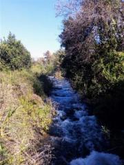 Escursione Galilea 2017 07 Tel Dan