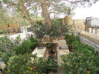 Messa in memoria di P. Michele Piccirillo 01