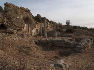 Ascalon 10