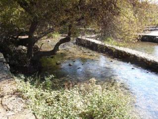 Banias 05