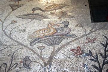 Tabgha Moltiplicazione 04