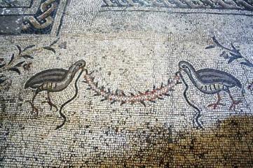 Tabgha Moltiplicazione 05