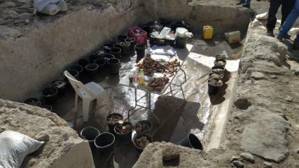 Visita Hebron Shkolnik 28-11-2021 02