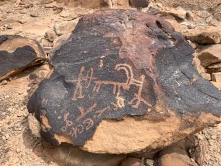 Escursione Negev 2022 10