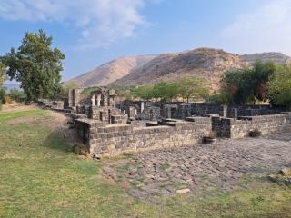 Escursione Galilea 2022 07