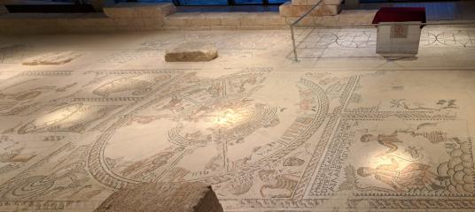 Escursione Galilea 2022 13