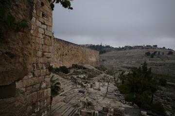 CABT 2023 Visita 13-04 11