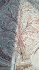 CABT 2023 Visita 14 16