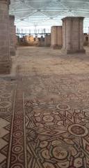 CABT 2023 Visita 14 27