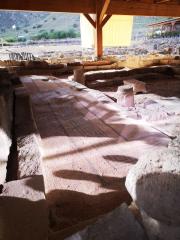 Escursione Galilea 2023 06