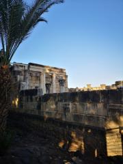 Escursione Galilea 2023 09