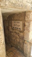 CABT 2024 4 aprile 14