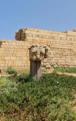 CABT 2024 5 aprile 05