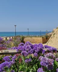 CABT 2024 5 aprile 08