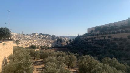 Centenario SBF - Convegno 26 settembre 2024 Escursione 06