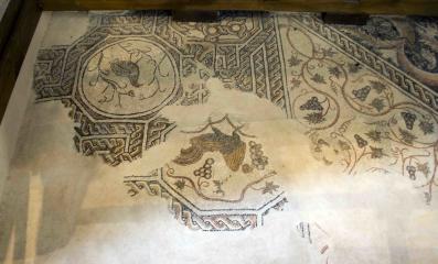 Betlemme Basilica Mosaici 12 Ottagono