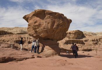 Timna Grande fungo