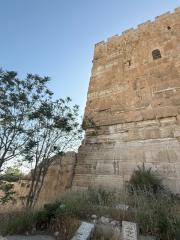 CABT 2025 22 aprile 29