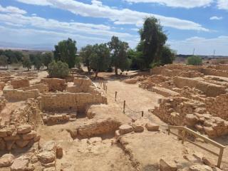 Escursione Negev 2025 02