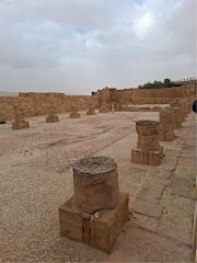 Escursione Negev 2025 04