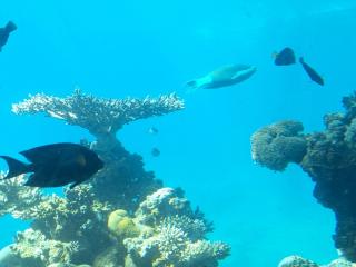 Escursione Negev 2025 10