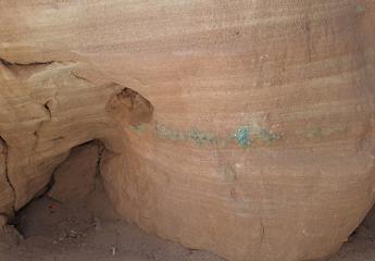 Escursione Negev 2025 11