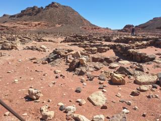 Escursione Negev 2025 16