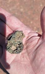 Escursione Negev 2025 17