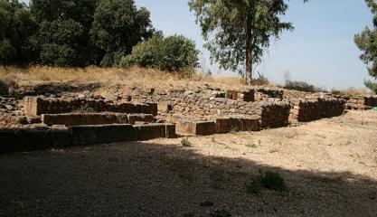 Tel Dan 09 Case sacerdoti