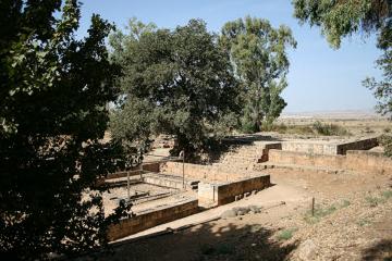 Tel Dan 03a Altare e bema