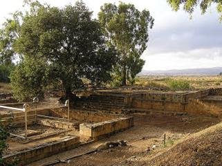 Tel Dan 04b Santuario